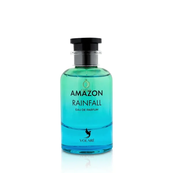 Amazon Rainfall