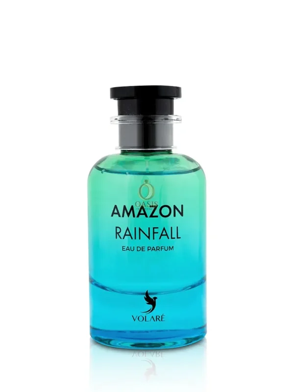 Amazon Rainfall
