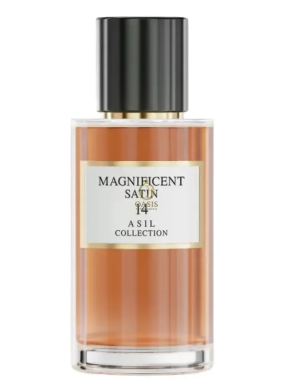 Magnificent Satin Nº14